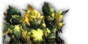 Lightblossom Trinity
